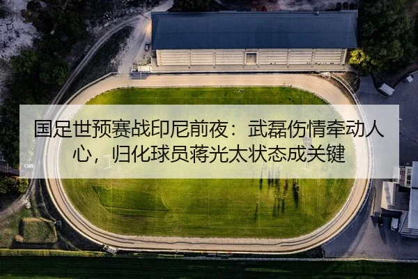 国足世预赛战印尼前夜：武磊伤情牵动人心，归化球员蒋光太状态成关键